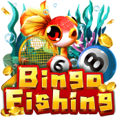 Câu Cá Bingo ee8836